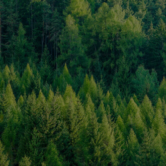 中国·太阳集团tyc86(股份有限公司)-Official website