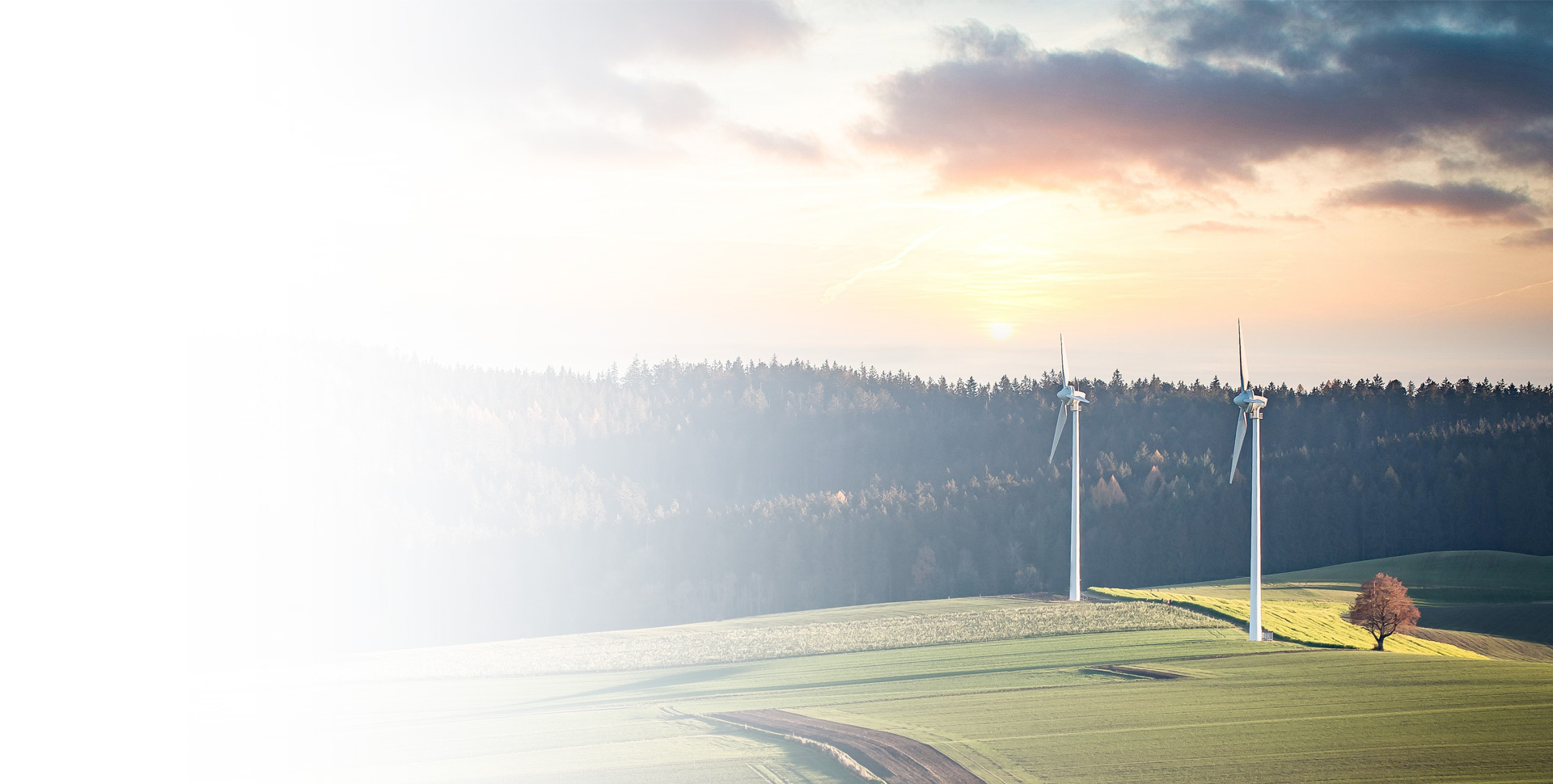 中国·太阳集团tyc86(股份有限公司)-Official website